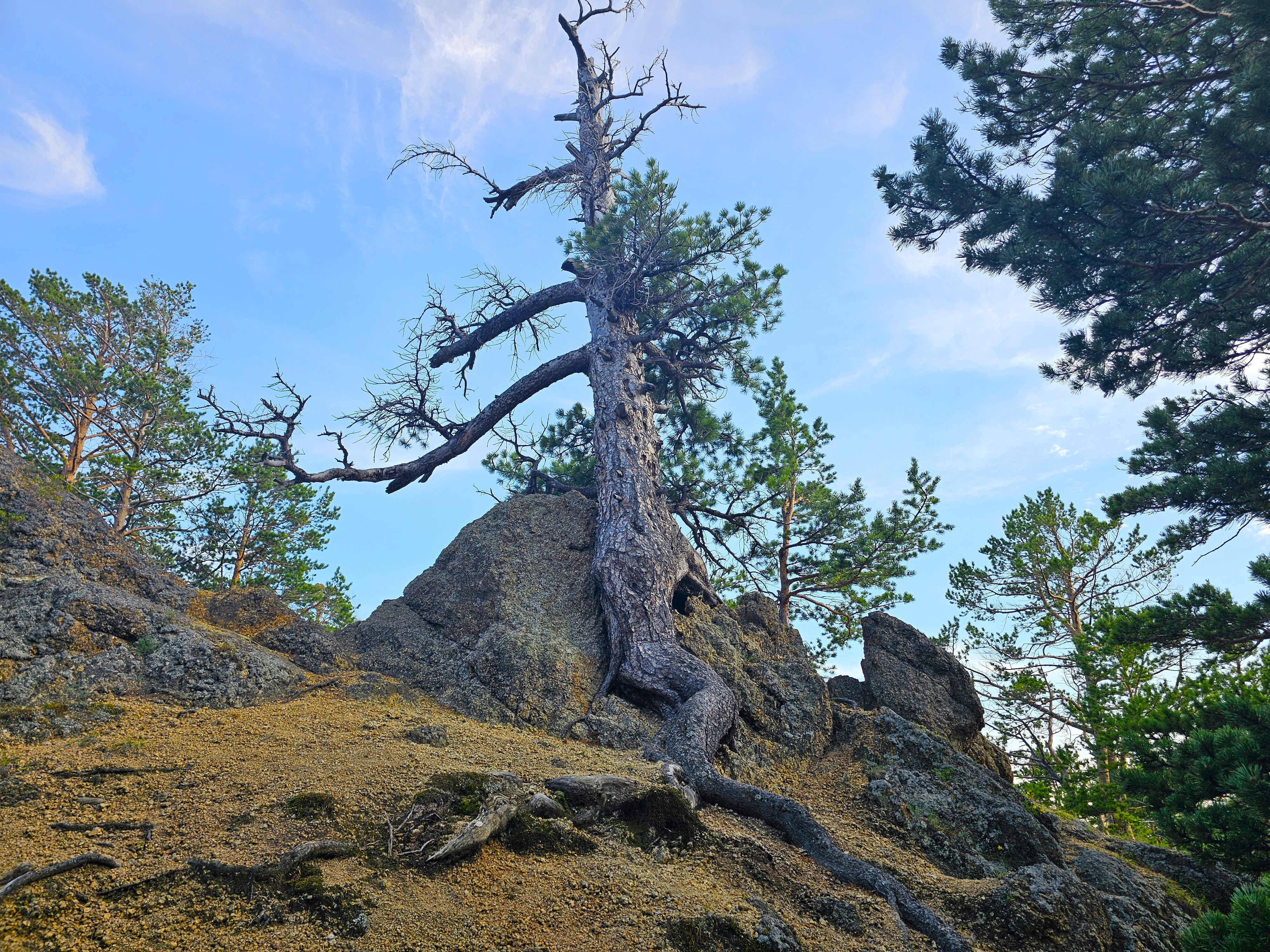 Baikal